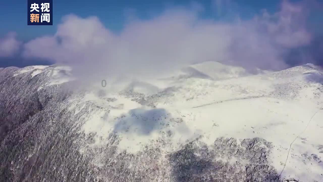 为什么，单词总是记不住游戏画面
