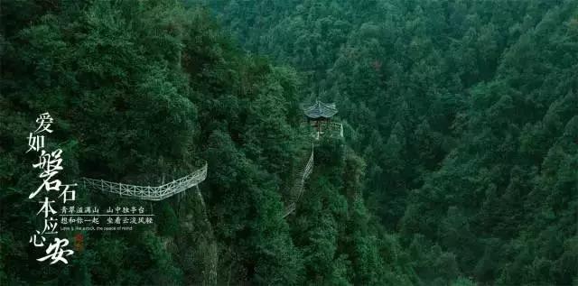 荒野八人组