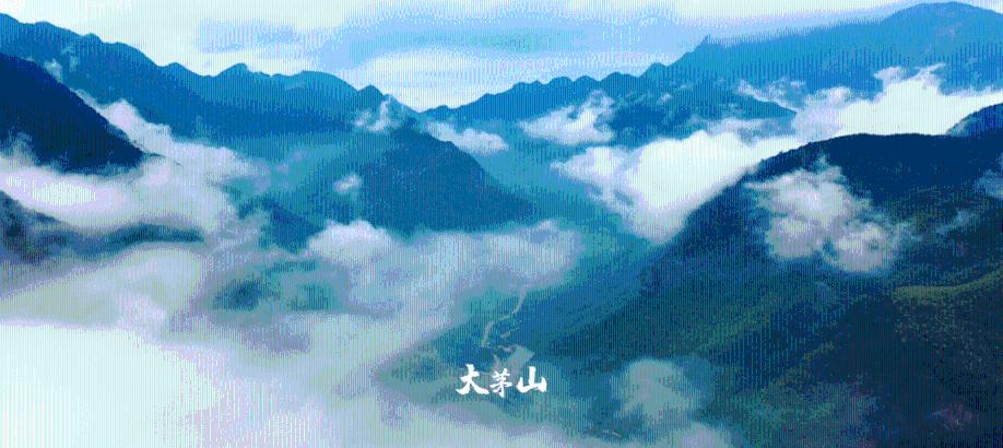 荒岛枪训