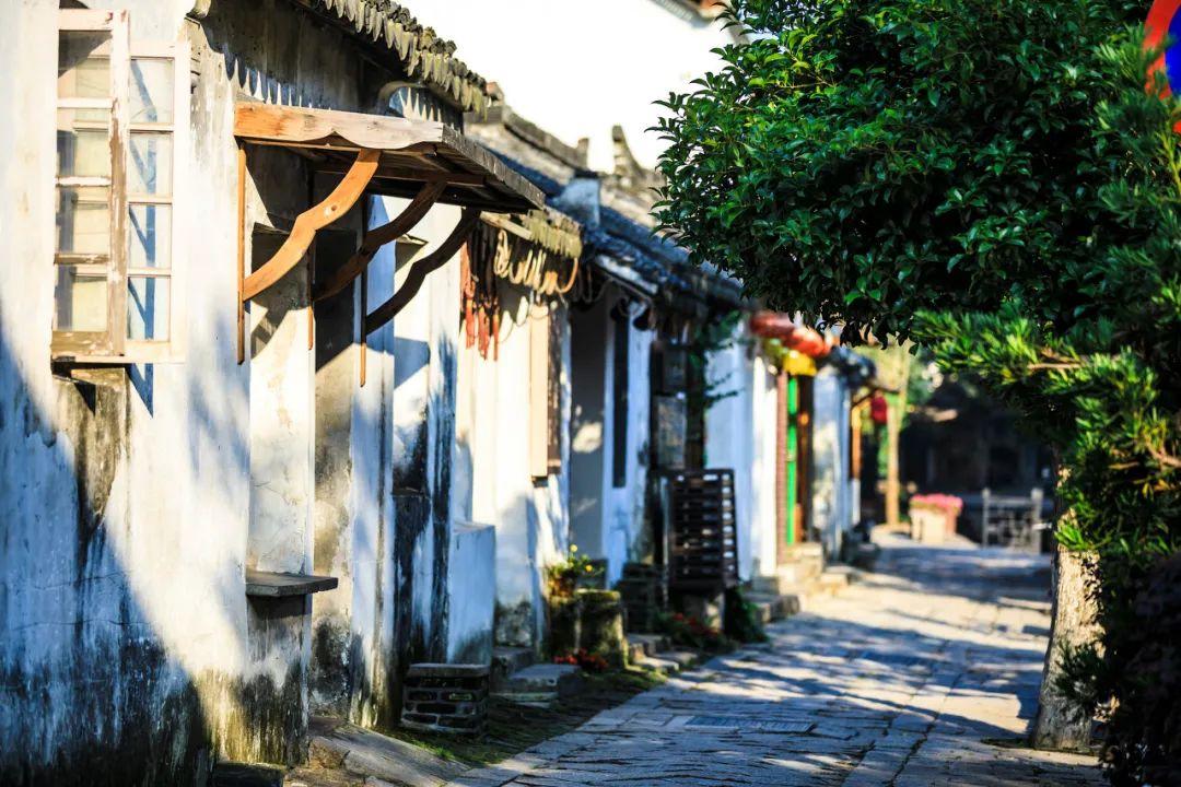 植物大战僵尸2
